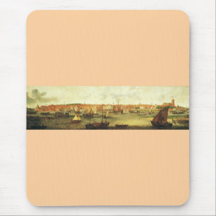Gezicht op Dordrecht vanuit het noorden door Adam Muismat