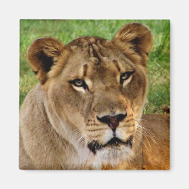 Gezicht op een koningin magneet