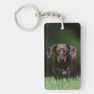 Gezicht op gevlekte dachshund sleutelhanger