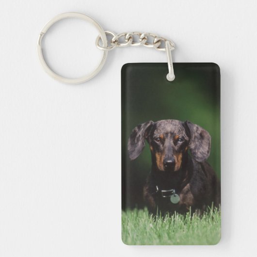 Gezicht op gevlekte dachshund sleutelhanger (Voorkant)