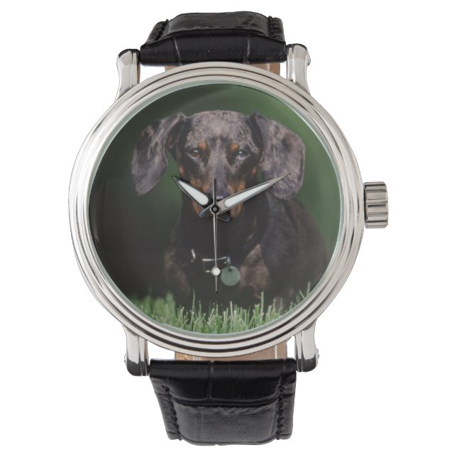 Gezicht op gevlekte teckel horloge (Voorkant)