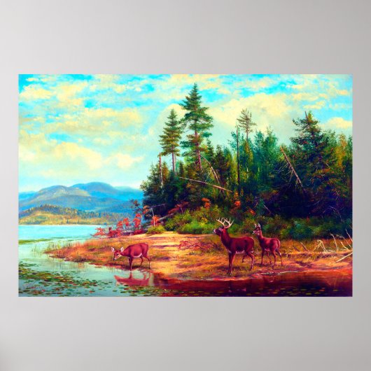 Gezicht op Long Lake Arthur Fitzwilliam Tait 1882 Poster (Voorkant)