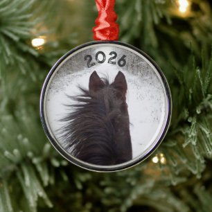 Gezicht op zwart paard vanaf slee op besneeuwde be metalen ornament