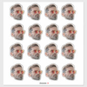 Gezicht Sticker, Aangepaste Gezicht Sticker, Aange Sticker (Vel)