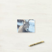 Gezicht van een Bighorn Sheep Post-it® Notes (Op bureau)