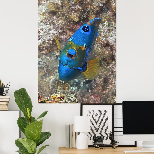 Gezicht van een engel poster (Thuiskantoor)