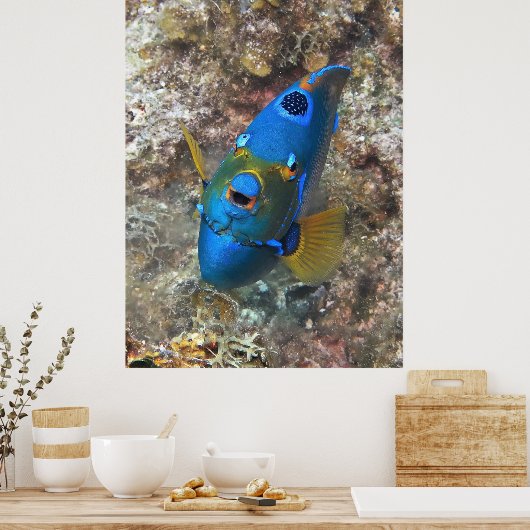 Gezicht van een engel poster (Keuken)