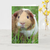 Gezicht van een Foto van het Proefkonijn Kaart (Gele Bloem)