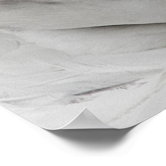 gezicht van een gans poster (Hoek)