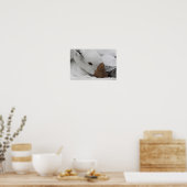 gezicht van een gans poster (Keuken)