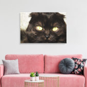 Gezicht van een jonge Munchkin kitten Canvas Afdruk (Insitu (Woonkamer))