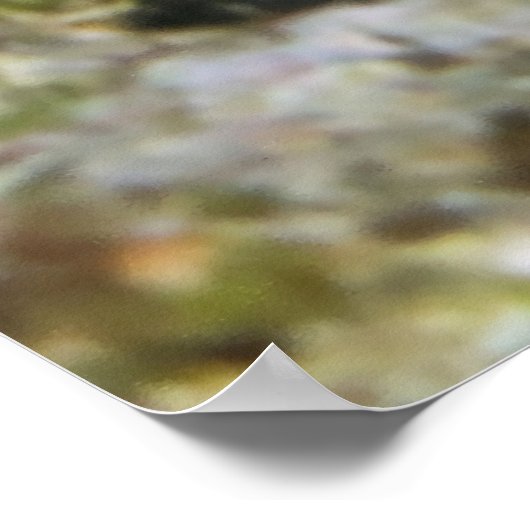 Gezicht van een Kikvis Poster (Hoek)