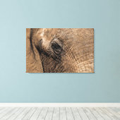 Gezicht van een Olifant Canvas Afdruk (Insitu (Houten vloer))