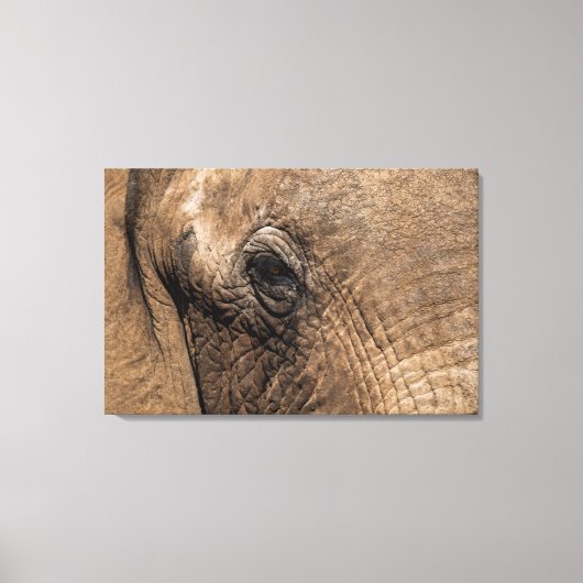 Gezicht van een Olifant Canvas Afdruk (Voorkant)