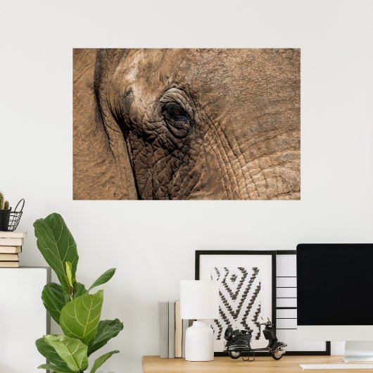 Gezicht van een olifant poster (Thuiskantoor)