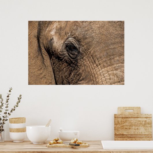 Gezicht van een olifant poster (Keuken)