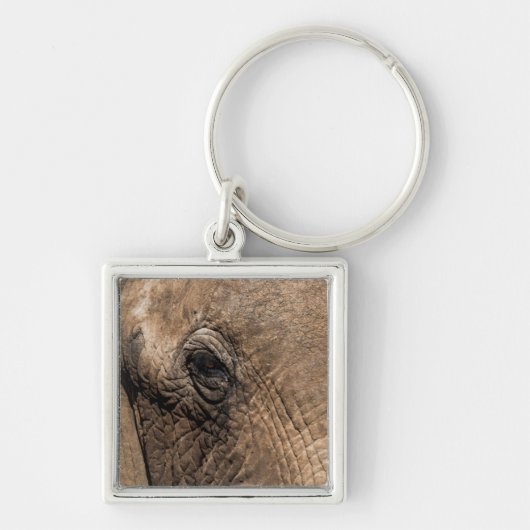 Gezicht van een Olifant Sleutelhanger (Voorkant)