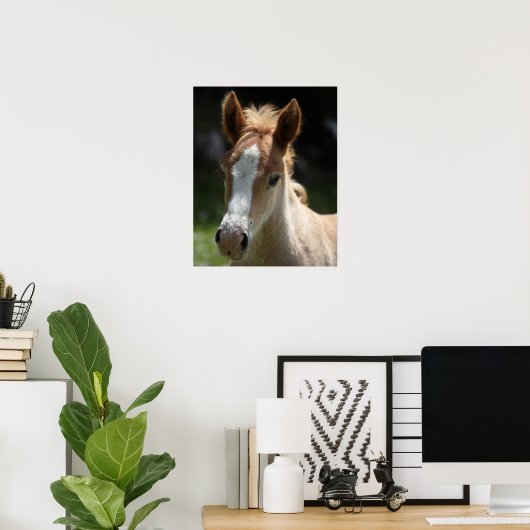 gezicht van het veulens poster (Thuiskantoor)