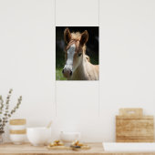 gezicht van het veulens poster (Keuken)