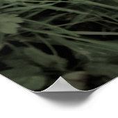 gezicht van natuur poster (Hoek)