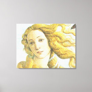 Gezicht van Venus Canvas Afdruk