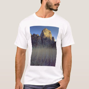 Gezicht vanaf de overstromingsvlakte van de Virgin T-shirt