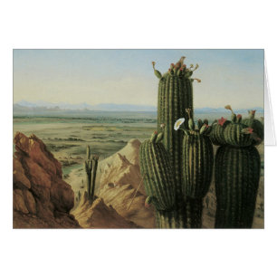 Gezicht vanaf Maricopa Mountain bij Rio Gila door