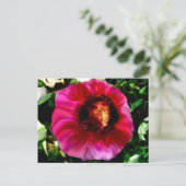 Gezichten Briefkaart (Staand voorkant)