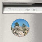 Gezichten.... Magneet (Insitu (Vaatwasser))