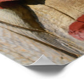 Gezichten van een kalkstok, Alaska Poster (Hoek)