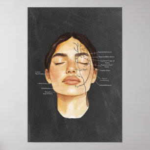 Gezichtsanatomie Bloedvaten Anatomische kunst Poster