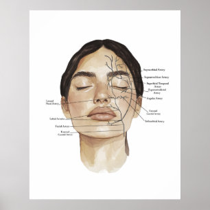 Gezichtsanatomie Print 3