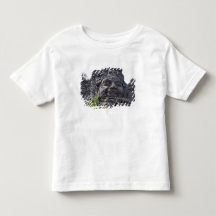 Gezichtsdetail van de West Gate-Tower (Gopuram), Kinder Shirts