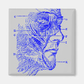 gezichtsdiagram magneet (Voorkant)