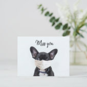 Gezichtsmasker op Franse Bulldog Briefkaart (Staand voorkant)