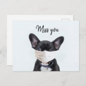 Gezichtsmasker op Franse Bulldog Briefkaart (Voorkant / Achterkant)