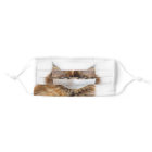 Gezichtsmasker op Maine Coon cat