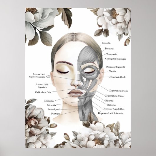 Gezichtsspieren Anatomie Kunst Massage Therapeut G Poster (Voorkant)