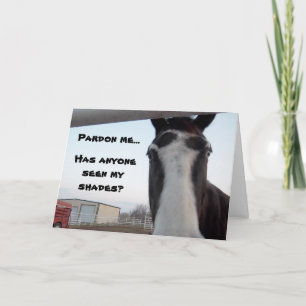 Gezien Mijn Schaduwen? De Kaart van de verjaardag