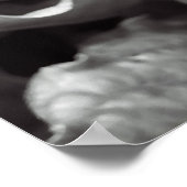 gezien rood poster (Hoek)