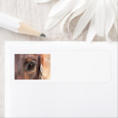 Geziene ogen etiket (Insitu)