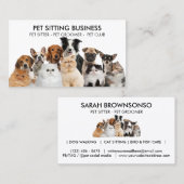 Gezinsdeel Zes honden Vijf katten Visitekaartje (Voorkant / Achterkant)