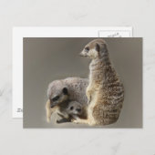 Gezinsgezinde stropdassen briefkaart (Voorkant / Achterkant)