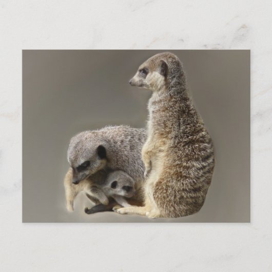 Gezinsgezinde stropdassen briefkaart (Voorkant)