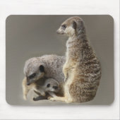 Gezinsgezinde stropdassen muismat (Voorkant)