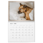 Gezinsgezinsleven | Elegant Gold Year in Pics | 12 Kalender (Mar 2026)