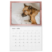 Gezinsgezinsleven | Koraaljaar in Afbeelding | 12  Kalender (Mar 2026)