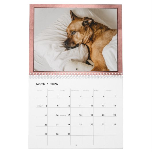 Gezinsgezinsleven | Koraaljaar in Afbeelding | 12  Kalender (Mar 2026)