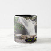 Gezinshereniging Mok 2010 #2 (Center)