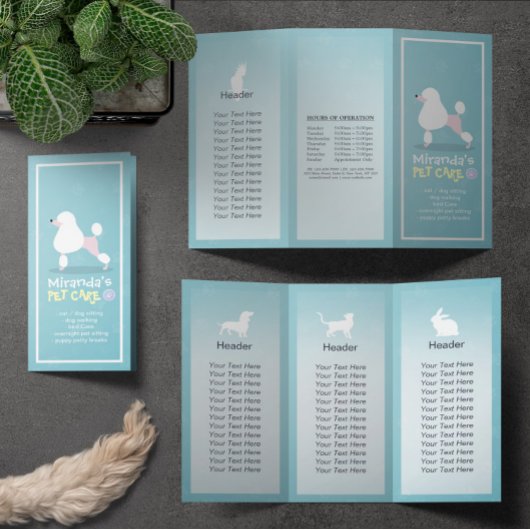 Gezinsverzorging van salon met tri-Fold Brochures